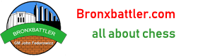 bronxbattler.com
